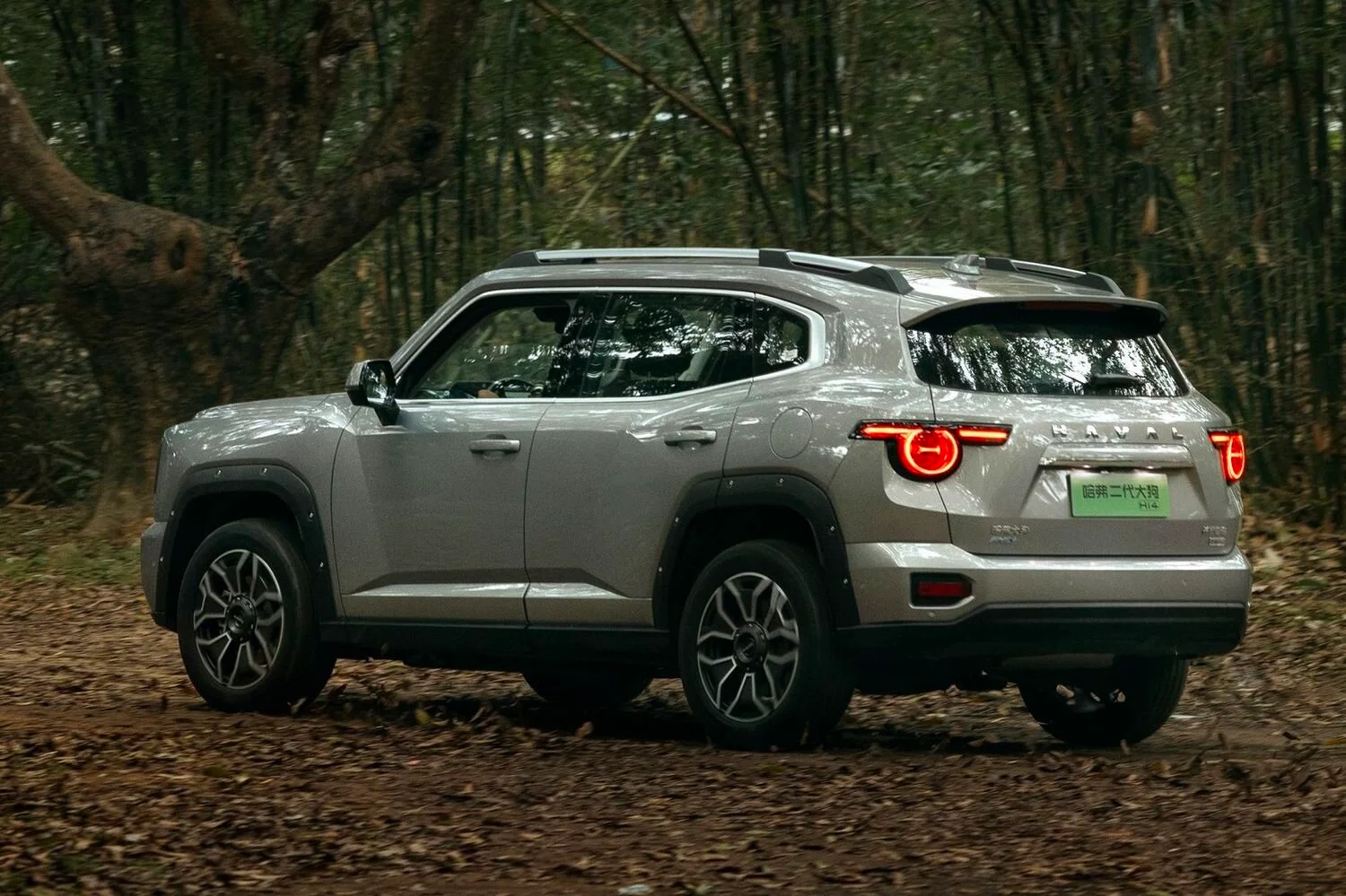 Haval Dargo 14.webp